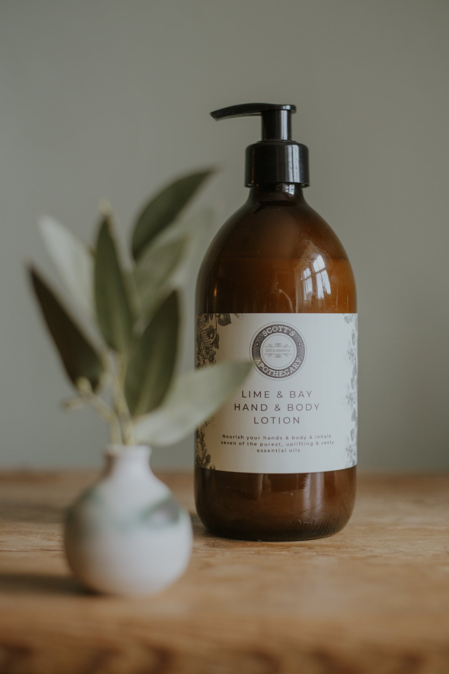 Hand and Body Lotion and Organic Hand Wash set